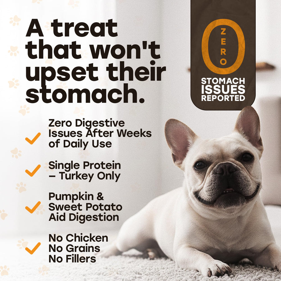 Pup Choice Freeze-Dried Raw Turkey Dog Treats with Pumpkin & Sweet Potato – Single Protein, Grain-Free - Pup Choice - healthy choices for your pup