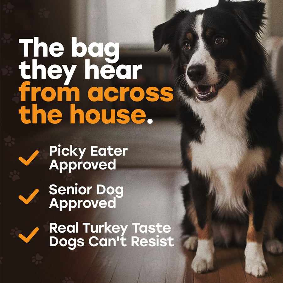 Pup Choice Freeze-Dried Raw Turkey Dog Treats with Pumpkin & Sweet Potato – Single Protein, Grain-Free - Pup Choice - healthy choices for your pup