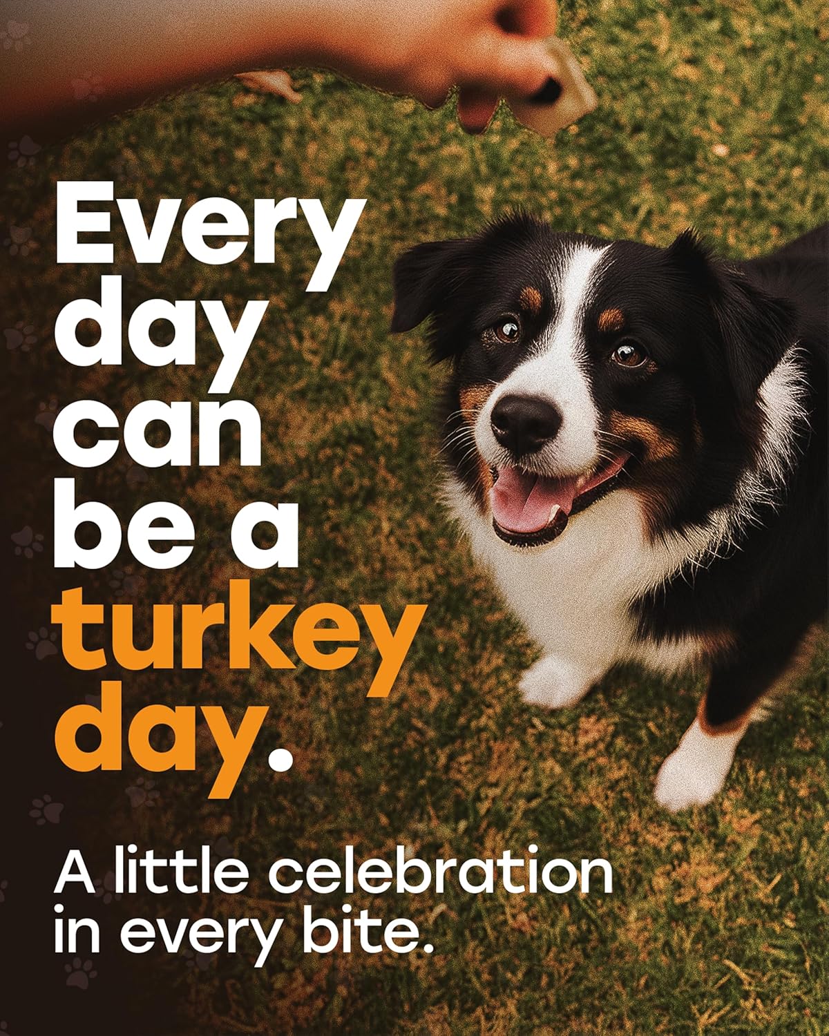 Pup Choice Freeze - Dried Raw Turkey Dog Treats with Pumpkin & Sweet Potato – Single Protein, Grain - Free - Pup Choice - healthy choices for your pup