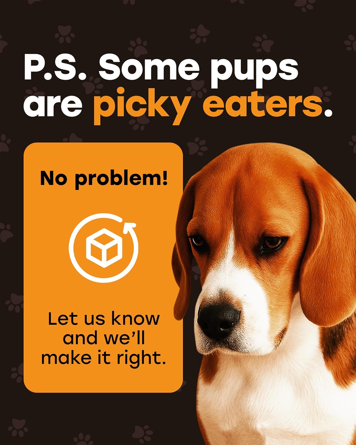 Pup Choice Freeze - Dried Raw Turkey Dog Treats with Pumpkin & Sweet Potato – Single Protein, Grain - Free - Pup Choice - healthy choices for your pup