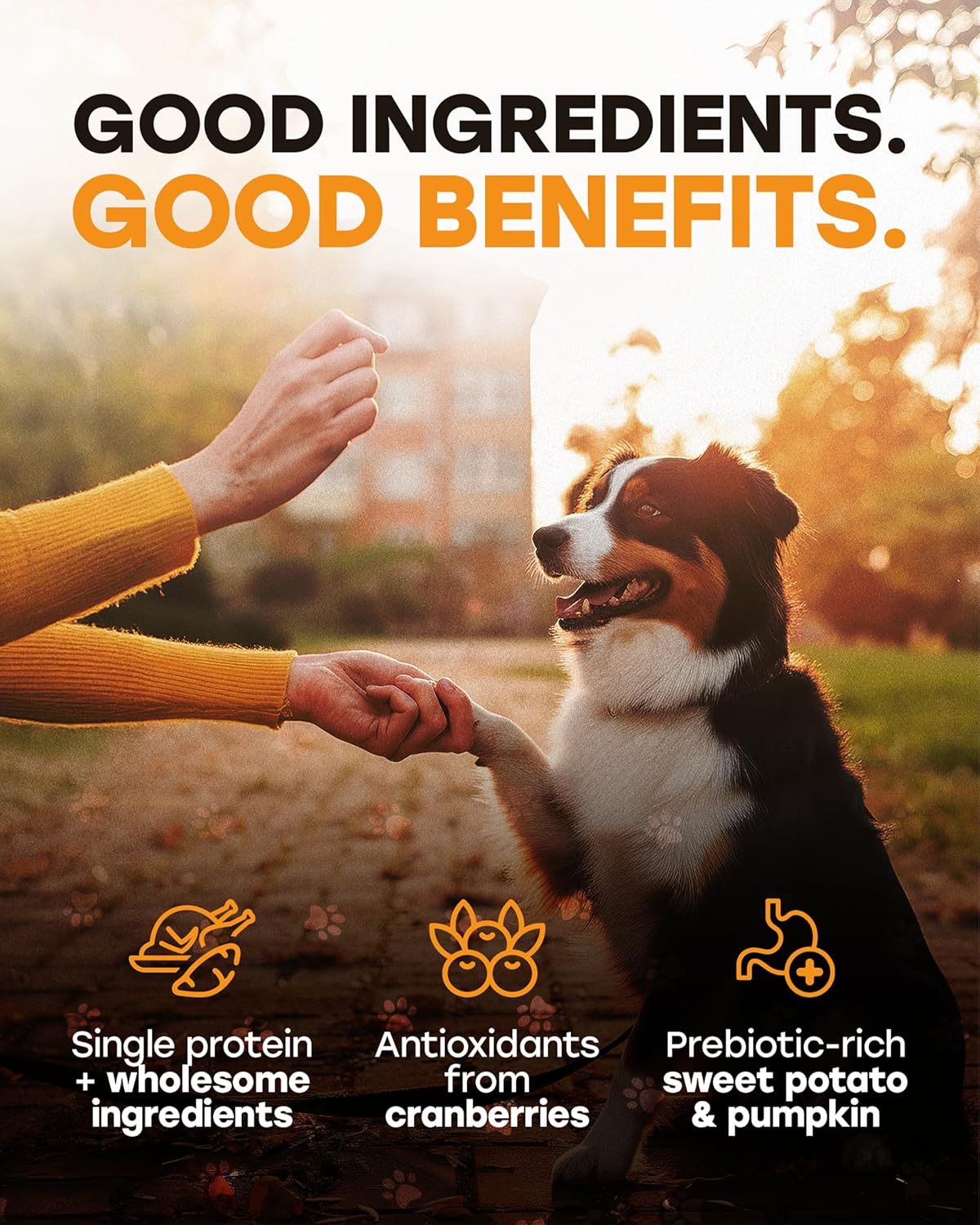 Pup Choice Freeze - Dried Raw Turkey Dog Treats with Pumpkin & Sweet Potato – Single Protein, Grain - Free - Pup Choice - healthy choices for your pup