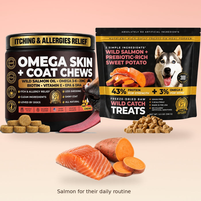 Skin & Coat Routine Bundle — Omega-3 Chews + Wild Catch Salmon Treats - Pup Choice - healthy choices for your pup