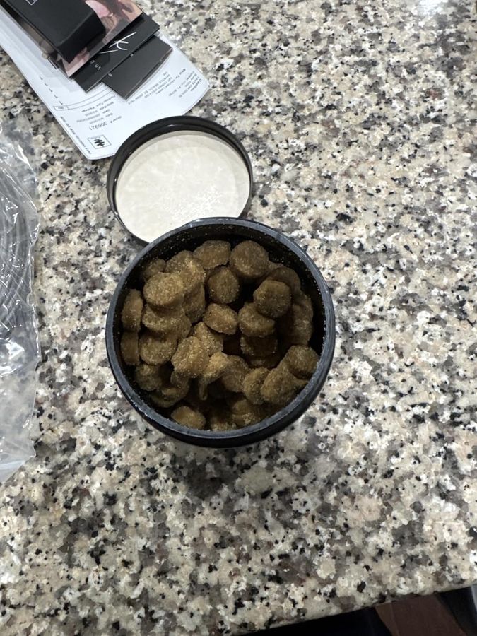 Real dog with Pup Choice Omega-3