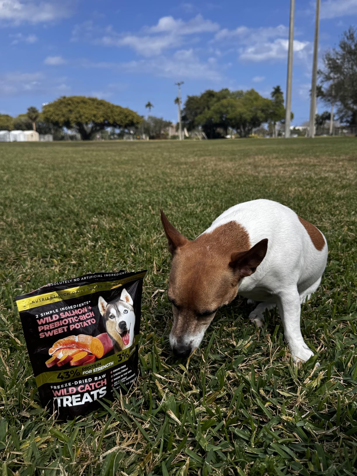 Customer dog — Wild Catch Salmon Treats