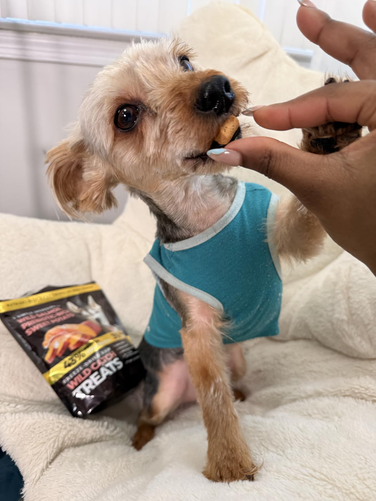 Dog enjoying Wild Catch Salmon Treats